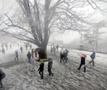 Heart-warming 3 Days Dalhousie with Dharamshala Trip Package