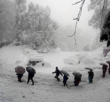 5 Days 4 Nights Dharamshala to Shimla Trip Package