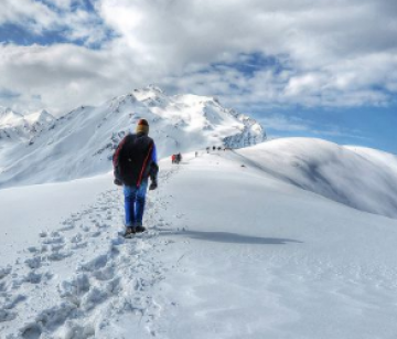 Best 2 Days Shimla and Manali Vacation Package