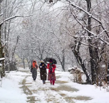 Shimla Tour Package for 3 Days 2 Nights from Manali