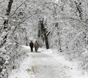 Family Getaway 4 Days Solang Valley Trip Package