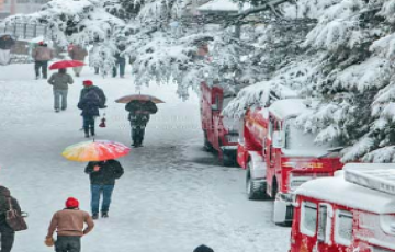 Beautiful 3 Days 2 Nights Shimla with Manali Trip Package
