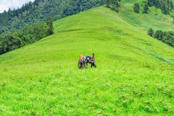 Family Getaway Dirang To Tawang 145 Km7 Hrs Tour Package for 6 Days 5 Nights from BOMDILA TO GUWAHATI 350 Km8 Hrs