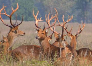 Family Getaway Jabalpur Tour Package for 6 Days