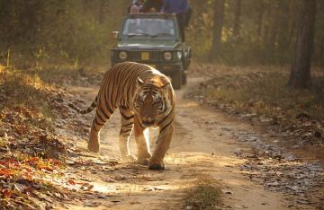 Gwalior Orcha Khajuraho Bandhavgarh Amarkantak Jabalpur Pachmari 11 Night 12 Days