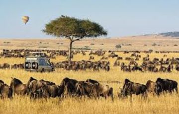 Experience Maasai Mara Game Reser Tour Package for 7 Days 6 Nights