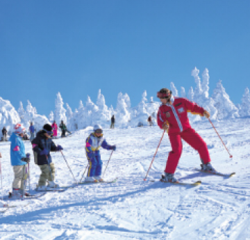 Amazing Shimla Tour Package for 2 Days from Manali
