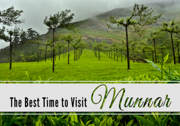 Pleasurable 3 Days Munnar with Cochin Vacation Package