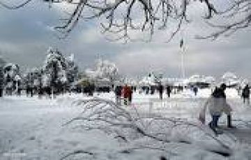 Pleasurable Delhi To Shimla Tour Package for 4 Days from Shimla To Delhi