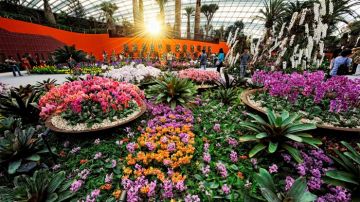 Experience 3 Nights 4 Days Singapore Tour Package