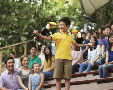 Experience 3 Nights 4 Days Singapore Tour Package