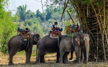 Heart-warming 7 Days Gorakhpur to Chitwan Vacation Package