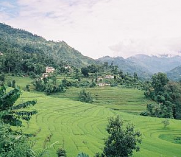 Memorable Gangtok Tour Package for 5 Days 4 Nights from Darjeeling