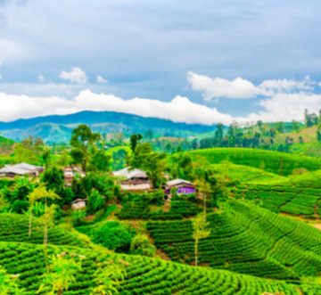 2 Days Darjeeling and Lachung Holiday Package