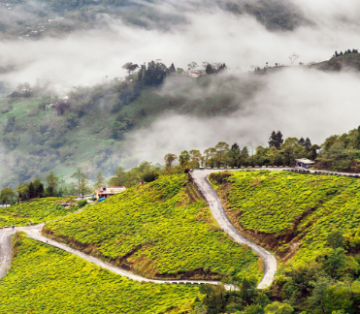 Beautiful 6 Days 5 Nights Darjeeling, Gangtok, Lachung with Kalimpong Tour Package