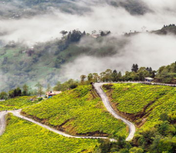 Magical 4 Days Darjeeling, Kalimpong and Gangtok Tour Package