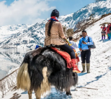 Beautiful 4 Days 3 Nights Gangtok Trip Package