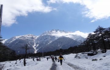 Beautiful 6 Days Darjeeling to Lachung Tour Package