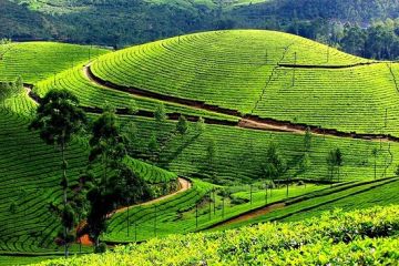 Family Getaway Thekkady Tour Package from Alleppey