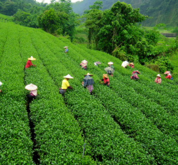 Beautiful 3 Days 2 Nights Kalimpong Vacation Package