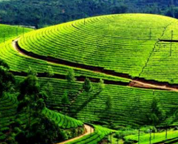 Family Getaway 5 Days Darjeeling to Lachung Trip Package