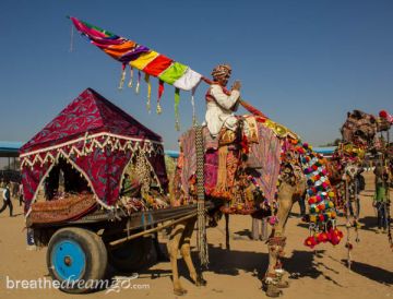 Pushkar Tour Package for 3 Days 2 Nights from Ghaziabad