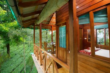 Kerala Honeymoon Package with Tree House & Private Pool Villa