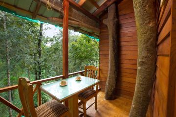 Kerala Honeymoon Package with Tree House & Private Pool Villa