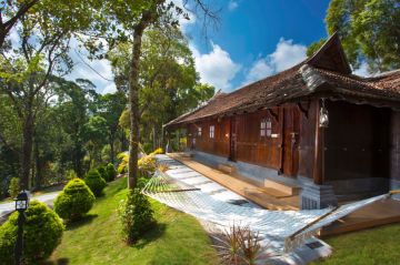 Kerala Honeymoon Package with Tree House & Private Pool Villa