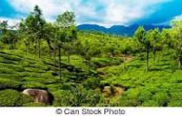 Ecstatic Thekkady Tour Package for 7 Days 6 Nights