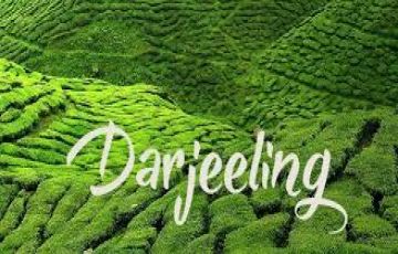 Best Darjeeling Tour Package from Bagdogra Airport NJP Station