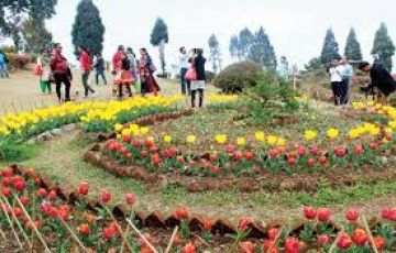 Best Bagdogra Airport Njp Station Tour Package for 5 Days