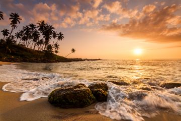 Heart-warming Galle Tour Package for 3 Days from Colombo Heart-warming Galle Tour Package for 3 Days from Colombo