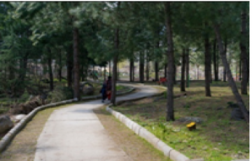 Best 4 Days New Delhi with Manali Trip Package