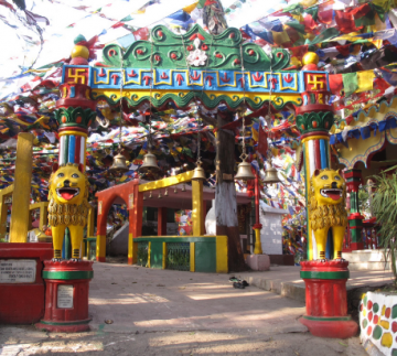 Amazing 2 Days 1 Night Pelling Trip Package