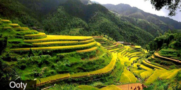 Best Ooty Tour Package for 3 Days from Mysuru