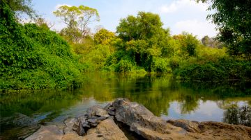 4 Days 3 Nights Sulthan Bathery to Pookode Lake Vacation Package