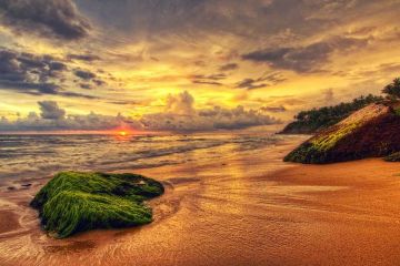 Memorable 2 Days 1 Night Alleppey and Alleppy Holiday Package