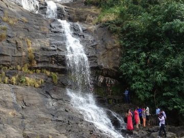 K0chi and Munnar From Cochin Tour Package for 2 Days 1 Night