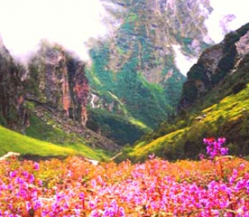 Experience 5 Days Darjeeling to Lachung Tour Package