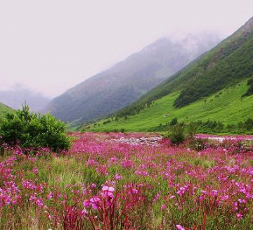 Experience 5 Days Darjeeling to Lachung Tour Package