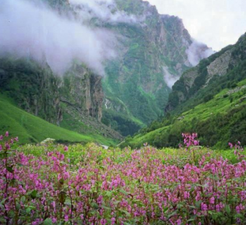 Ecstatic 4 Days Darjeeling to Lachung Vacation Package