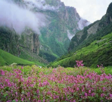 Ecstatic 4 Days Darjeeling to Lachung Vacation Package