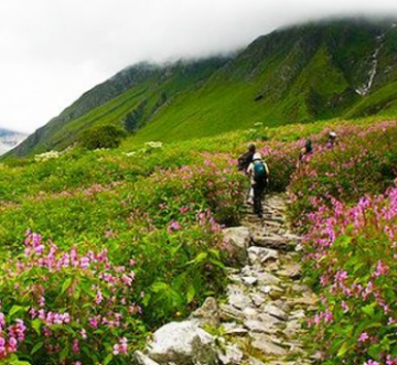 Ecstatic Lachung Tour Package for 3 Days from Darjeeling