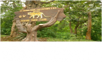 Best 7 Days 6 Nights Cochin, Munnar, Thekkady with Alleppey Tour Package