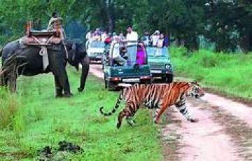 Experience 3 Days Ghaziabad with Jim Corbett Tour Package