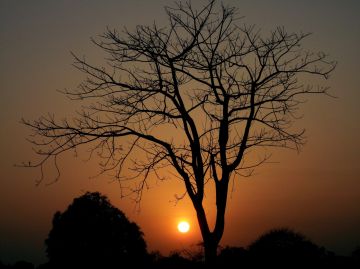 Ecstatic 3 Days Ayodhya Hills Tour Package