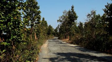 Ecstatic 3 Days Ayodhya Hills Tour Package