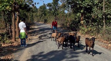 Ecstatic 3 Days Ayodhya Hills Tour Package