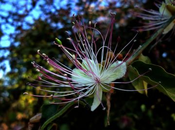 Ecstatic 3 Days Ayodhya Hills Tour Package